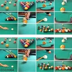 Transform Your Space with ED22064 Sports Addiction Wallpaper