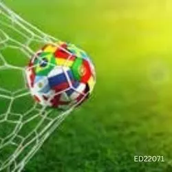 Transform Your Space with ED22071 Sports Addiction Wallpaper