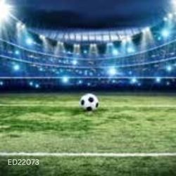 ED22073 Sports Addiction Wallpaper: Energize Your Space