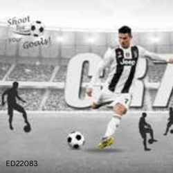 ED22083 Sports Addiction Wallpaper: Dynamic Room Revival