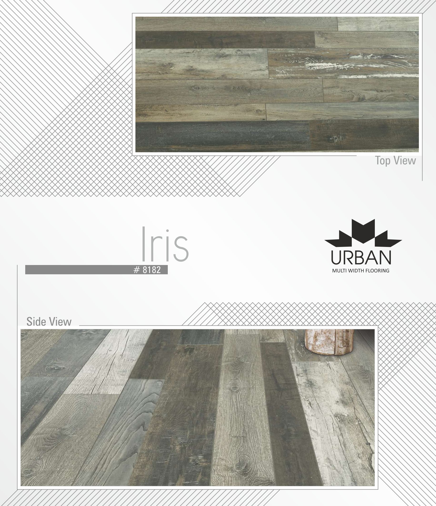 Defloors Urban Lris #8182 - 8.3MM Laminate Flooring