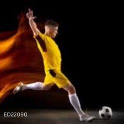 Dynamic Decor: ED22090 Sports Addiction Wallpaper Collection