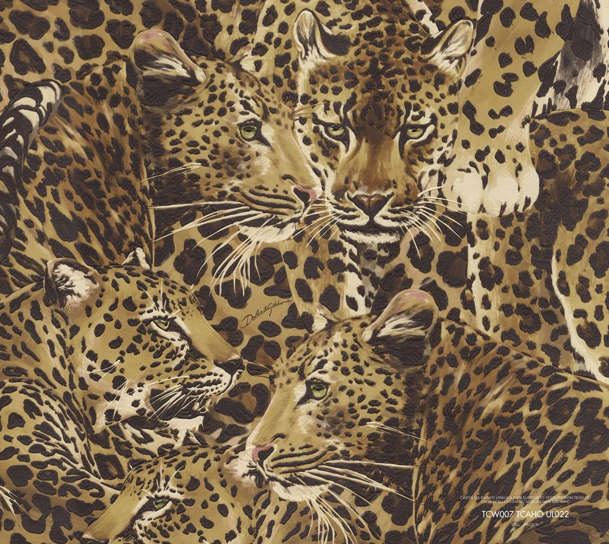 Dolce & Gabbana Wallpaper  TCW007 TCAHO UL022