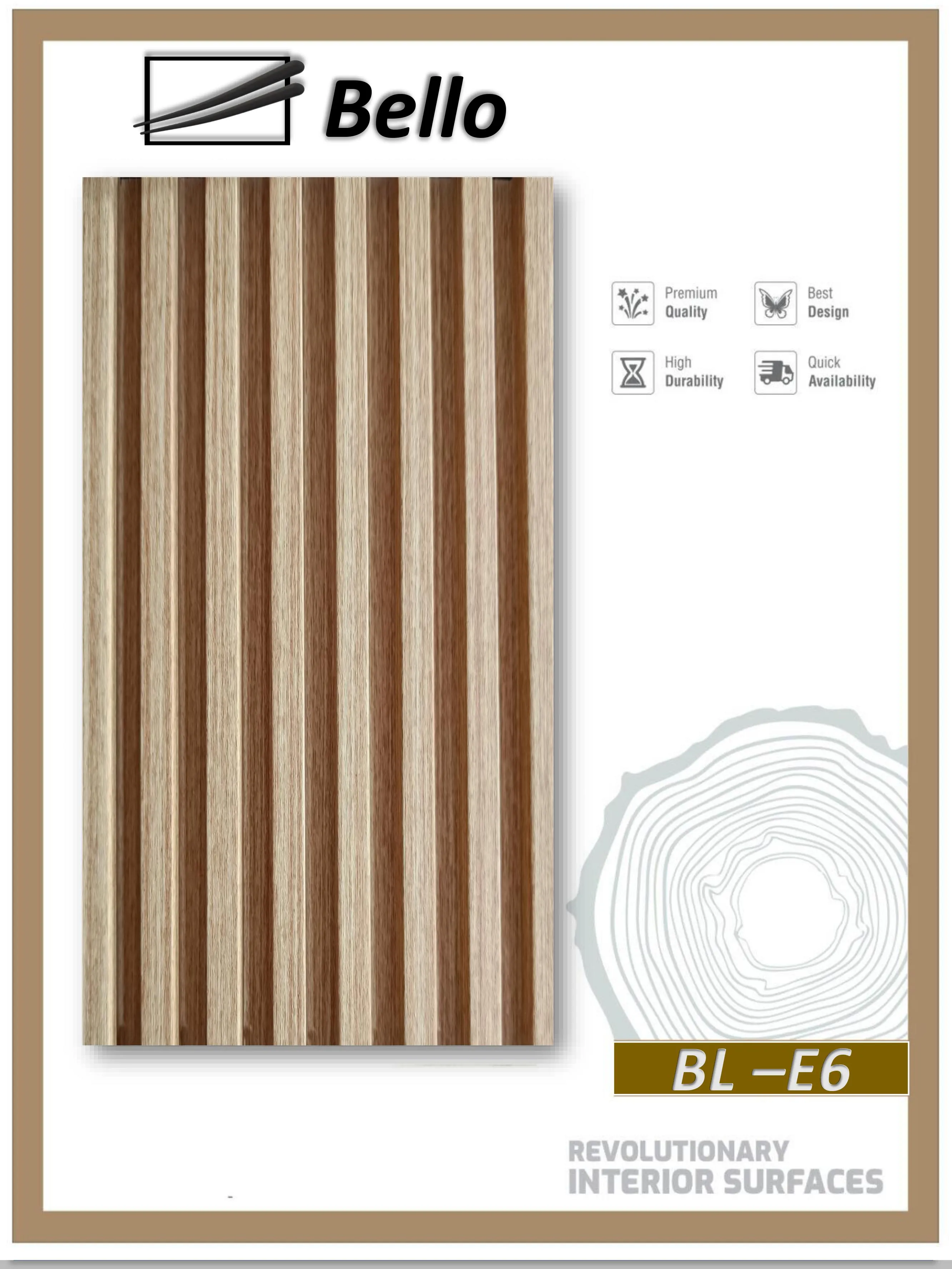 BL - E6