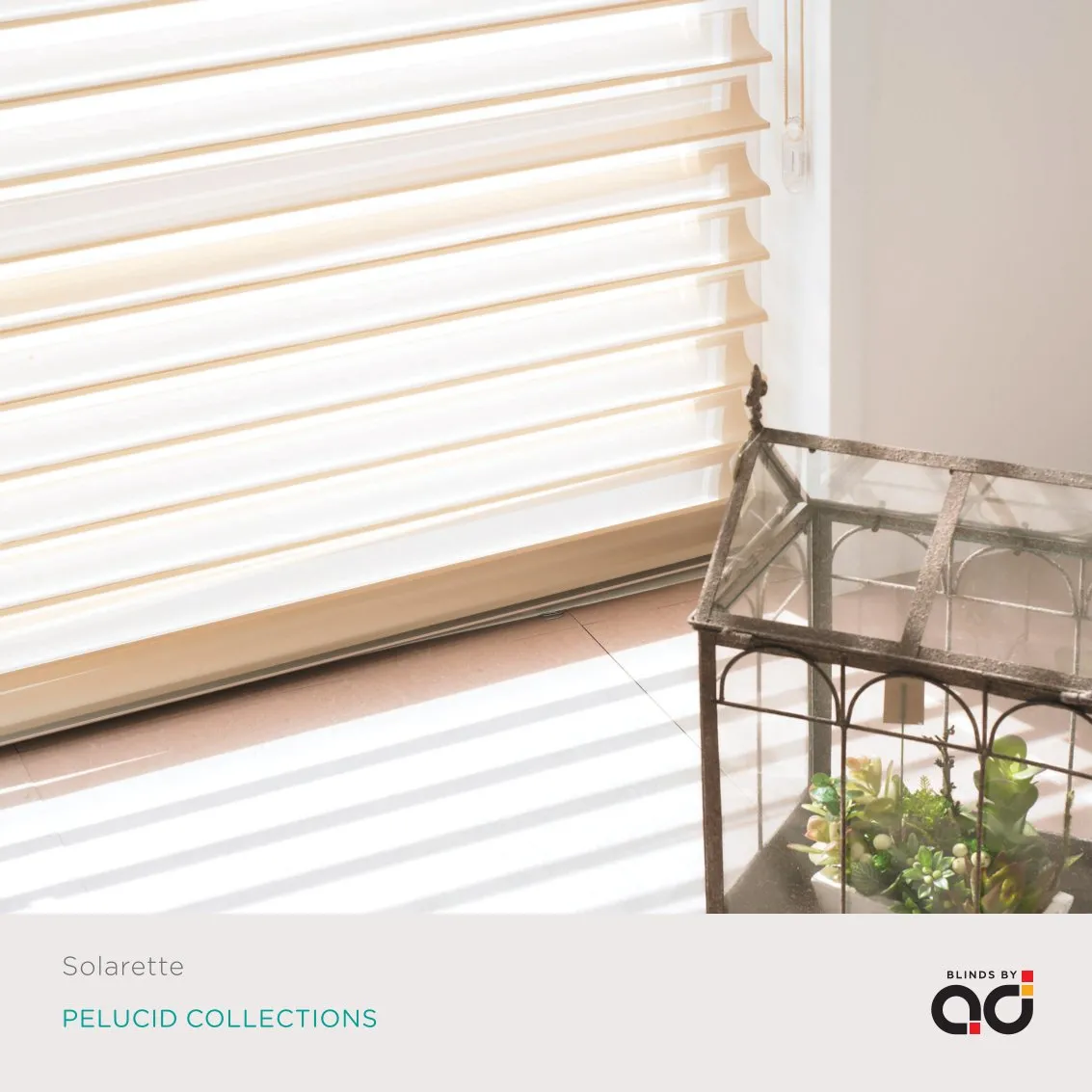 AD Vision Vol-2 PELUCID COLLECTIONS – Stylish & Modern