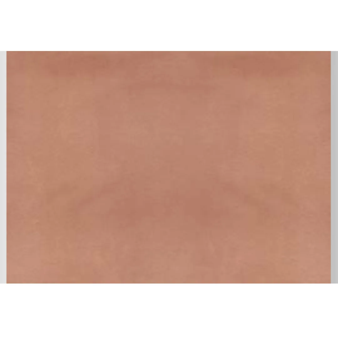 BAKSHI-APRICOT 112354 - Premium Apricot Delight