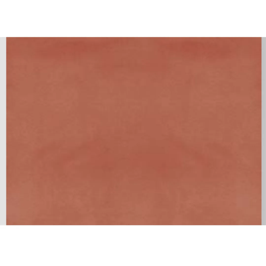 BAKSHI-SALMON 112226 - Elegant Salmon Plant