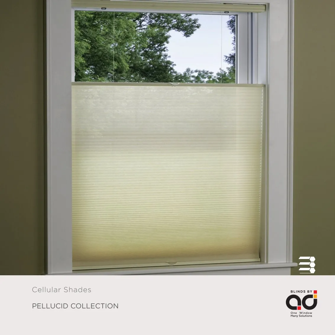 AD Cellular Collection – Stylish & Functional Designs  Pellucid Collection