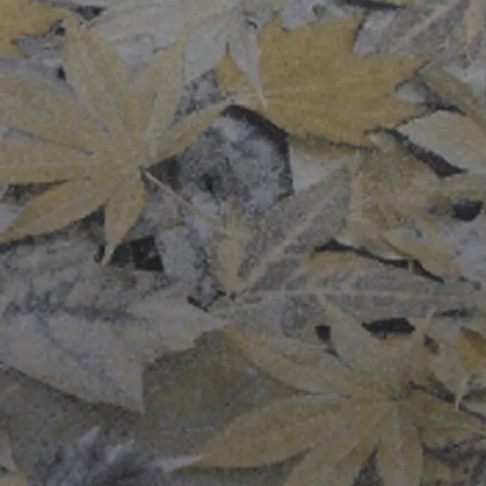 Elegance Non Woven HH91101