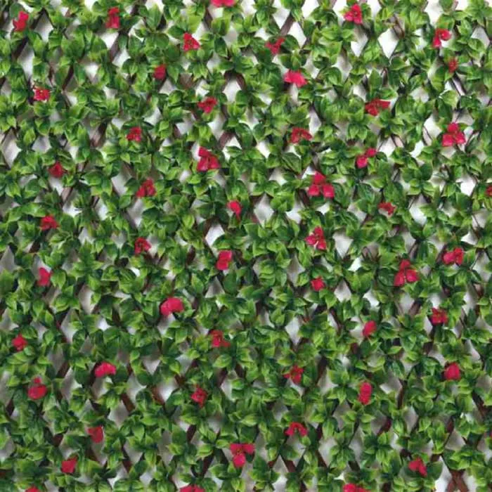 Fyne Surfaces Fyn6001