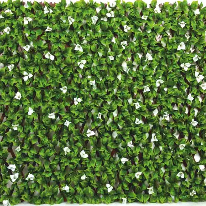 Fyne Surfaces Fyn6002e