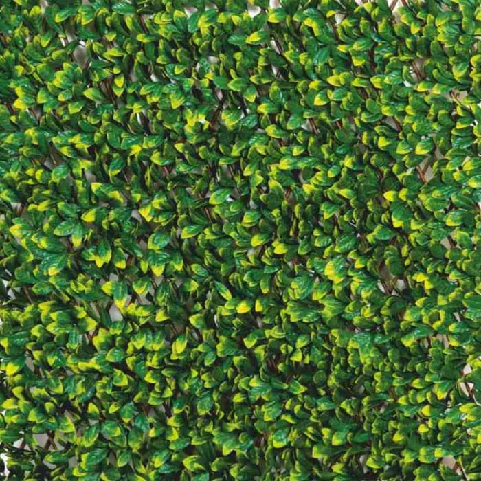 Fyne Surfaces Fyn6006e