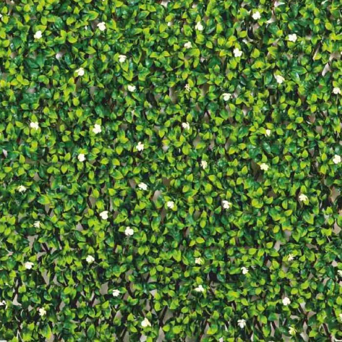 Fyne Surfaces Fyn6007e