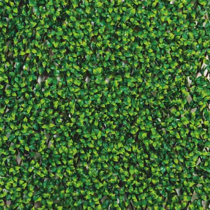 Fyne Surfaces Fyn6021e