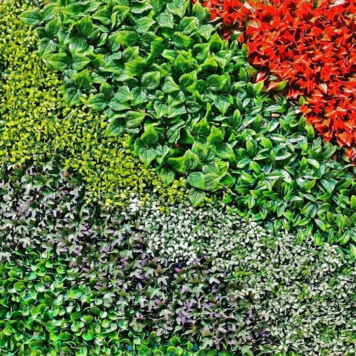 Vertical Garden LR002