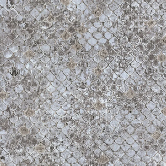 Roberto Cavalli- Luxury Wallpapers And Fabric - Rc17101