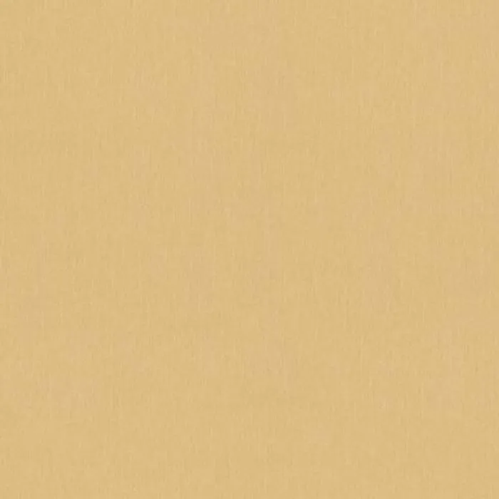 Versace 4- Luxury Wallpapers And Fabric - 343275