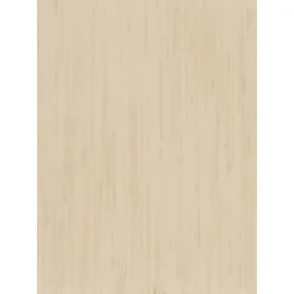 Ad Zebra Blinds For Windows | Spring Beige