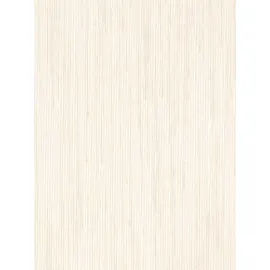 Ad Zebra Blinds For Windows | Spring Ivory