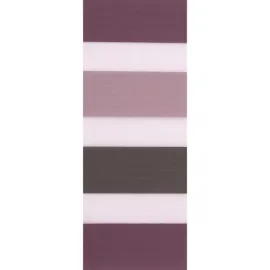 Ad Zebra Blinds For Windows | Rainbow NSCT 72
