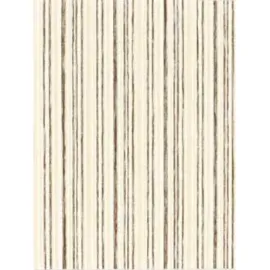 Ad Zebra Blinds For Windows | Tunes TN 01