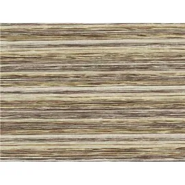 Ad Zebra Blinds For Windows | Tunes TN 04