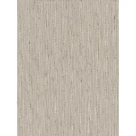 Ad Zebra Blinds For Windows | Appex Beige
