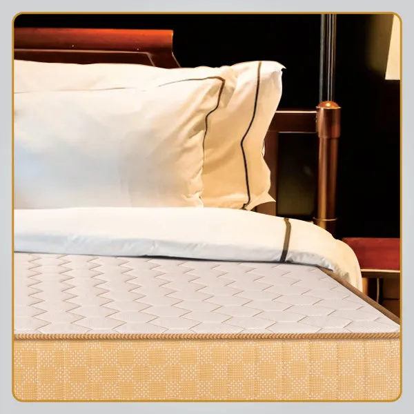 Spring Fit Proactiv-Back Mattress