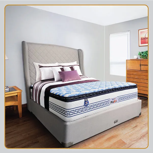 Spring Fit Proactiv-Back Mattress