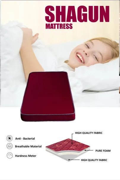 Dreams Shagun Mattress