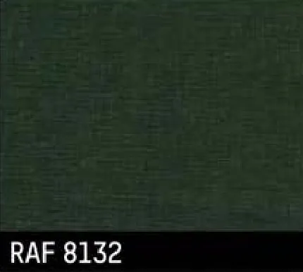 RAF 8132