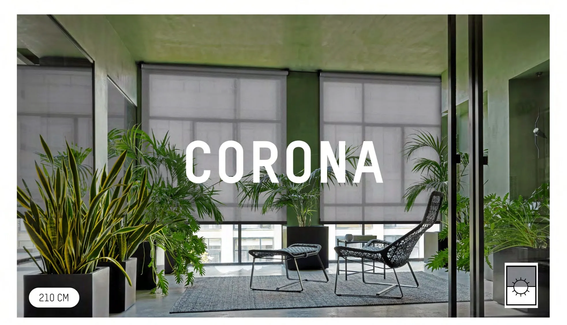 Mac Roller Corona Blind