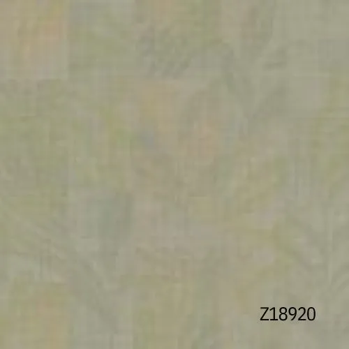 Product  Z18920
