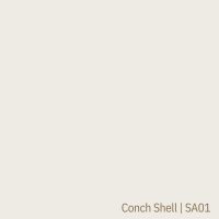 Product  | Whites & Creams  : Conch Shell | SA01