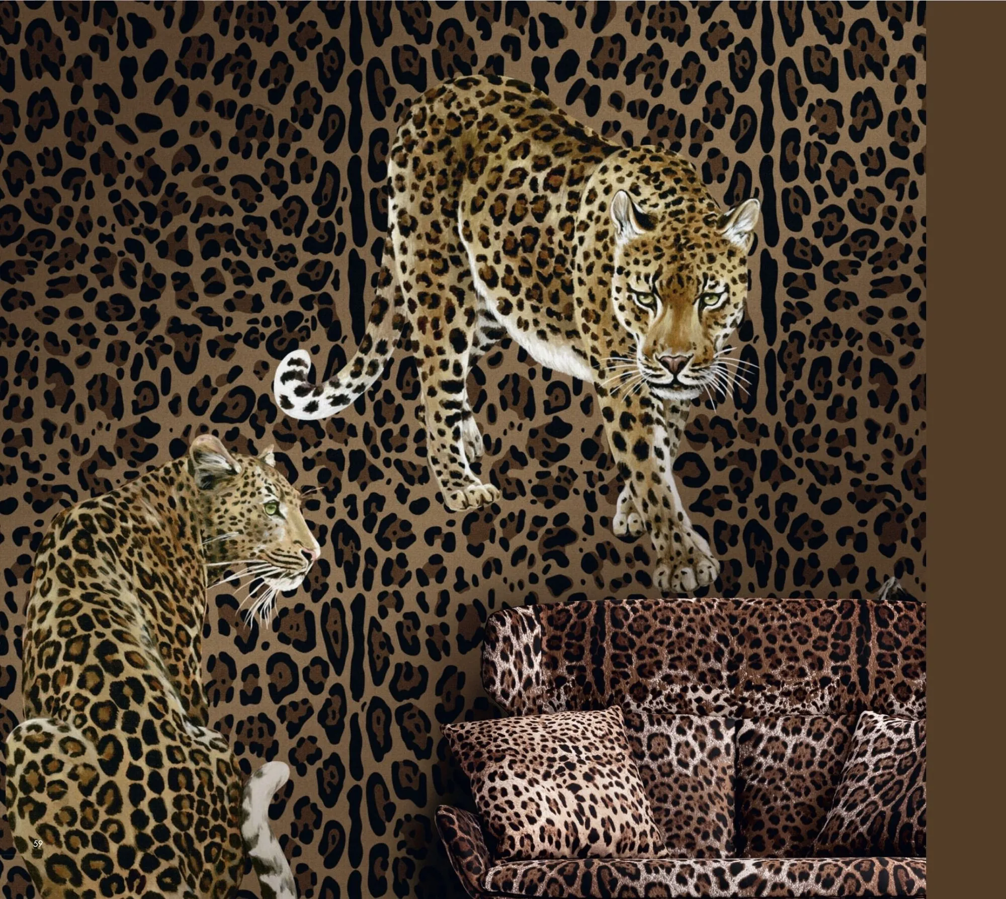 Dolce & Gabbana Wallpaper   TCW001 TCAI5 UL033