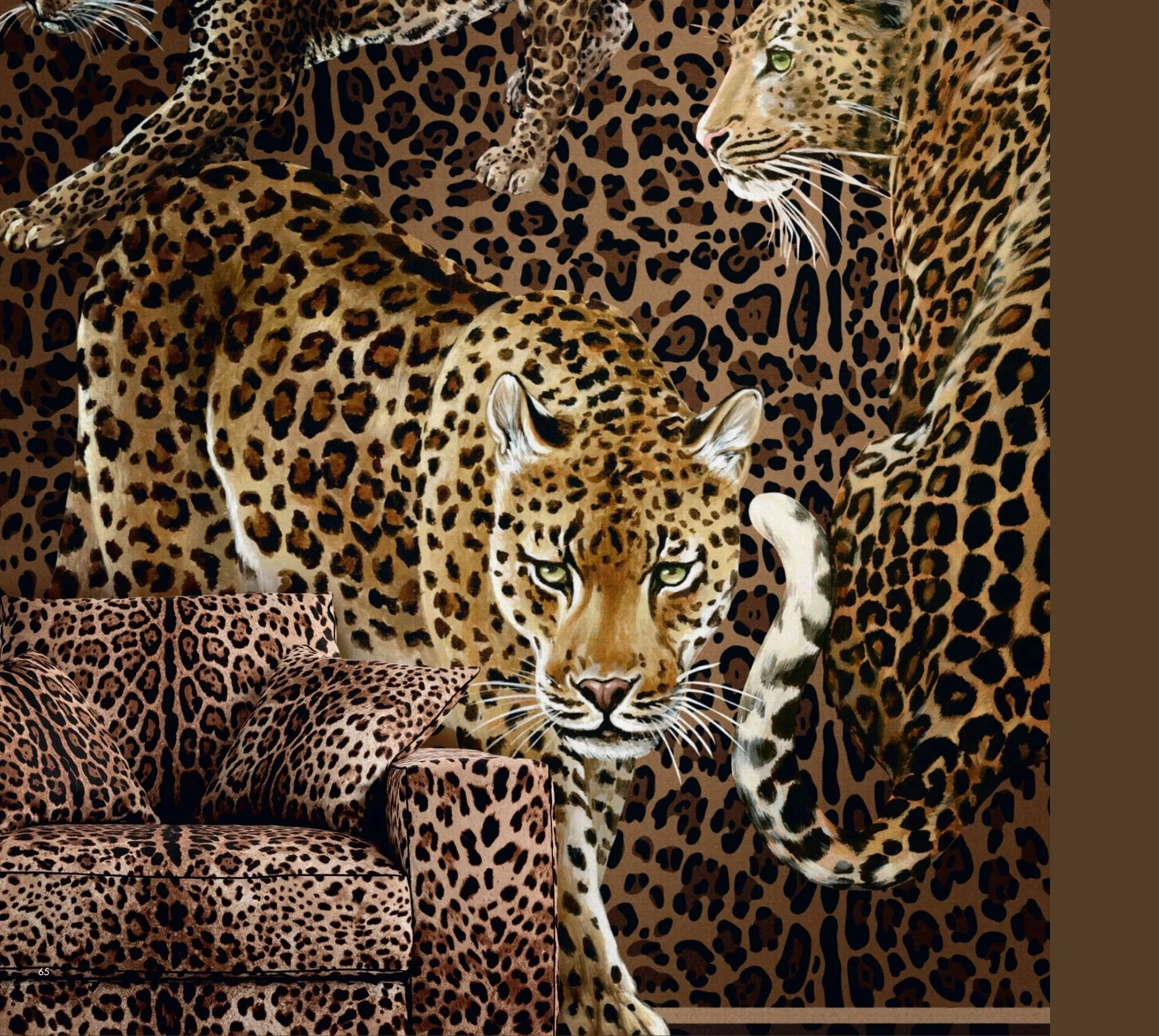 Dolce & Gabbana Wallpaper   TCW009 TCAI5 UL040