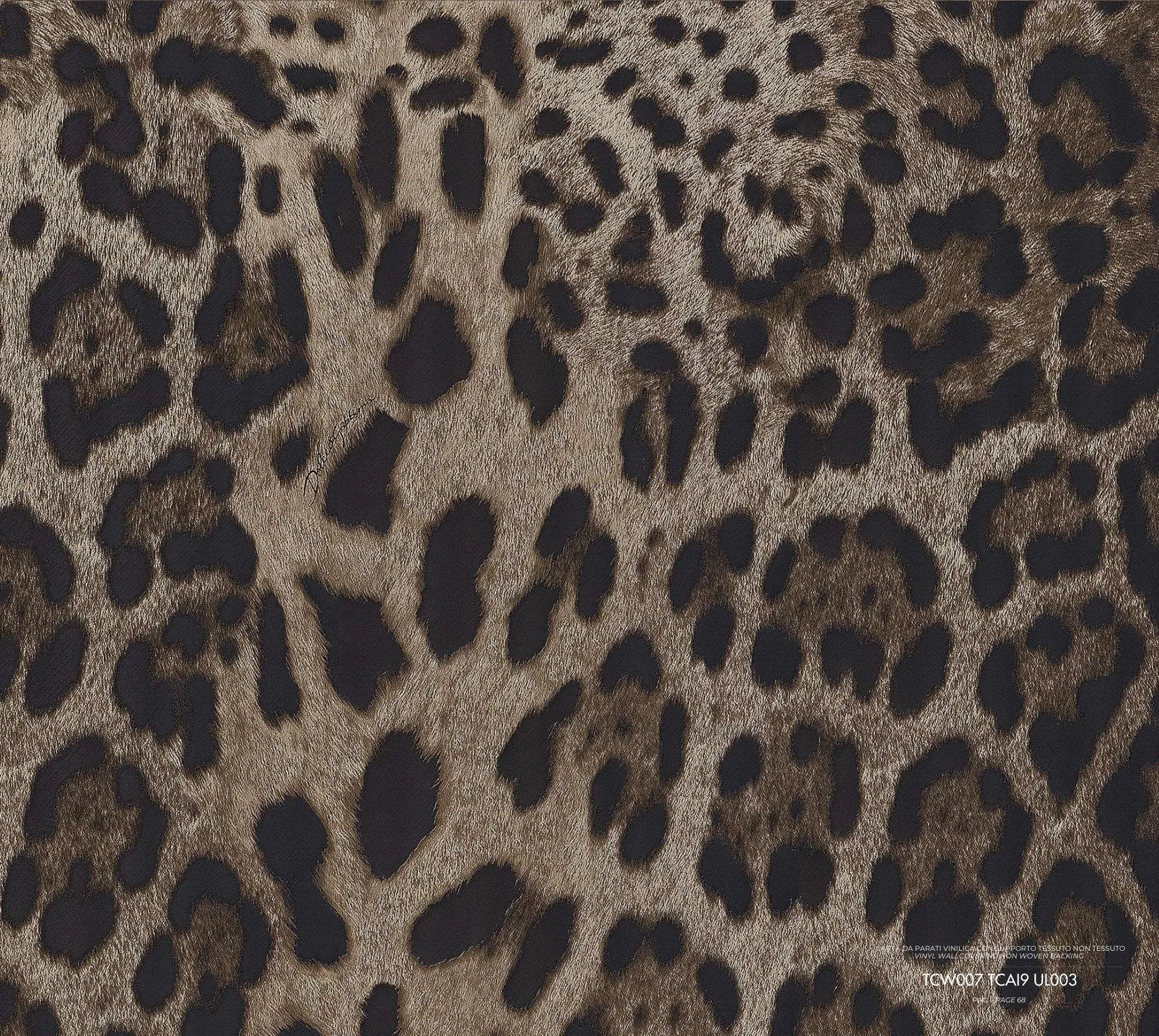 Dolce & Gabbana Wallpaper  TCW007 TCAI9 UL003