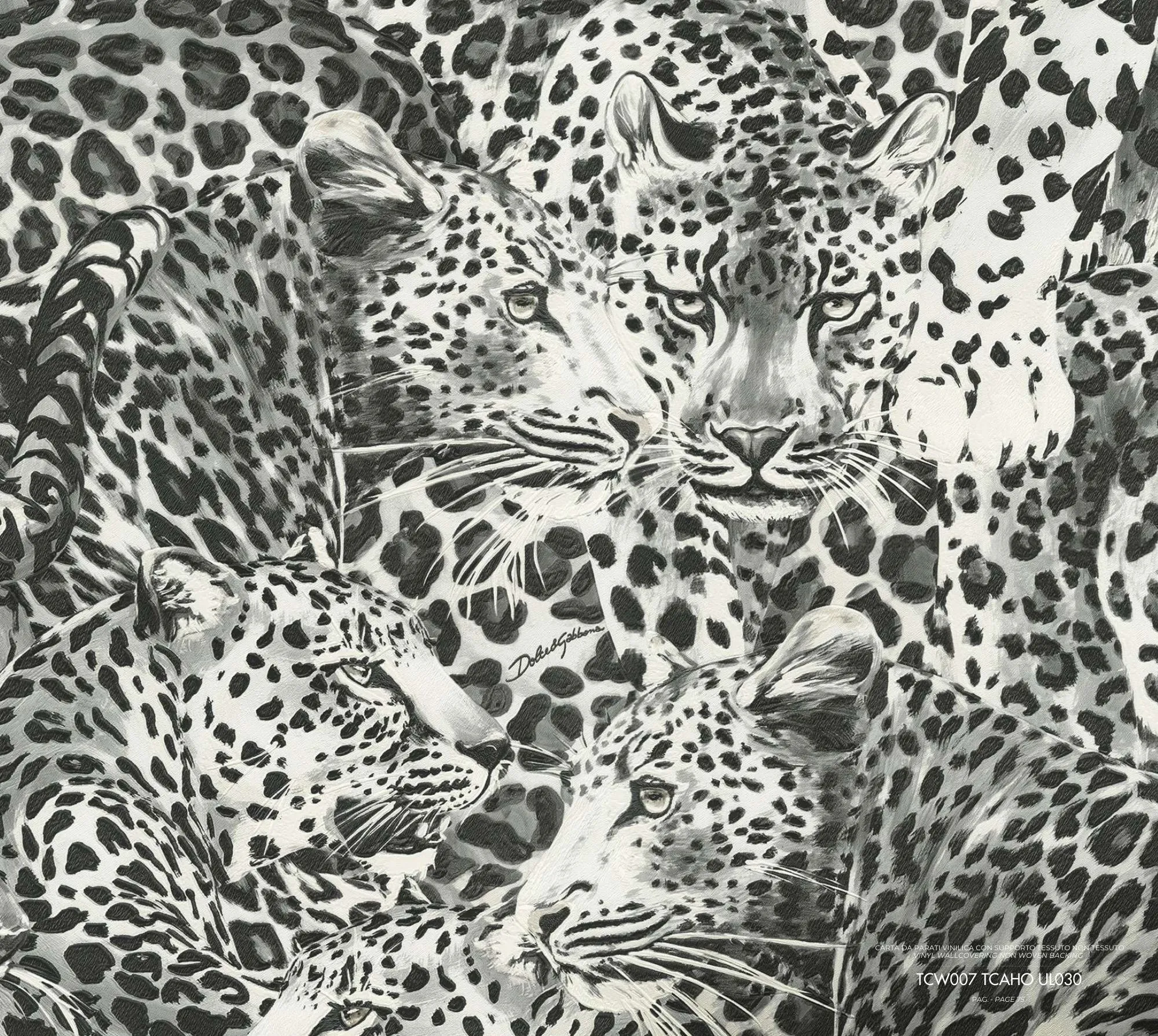 Dolce & Gabbana Wallpaper  TCW007 TCAHO UL030
