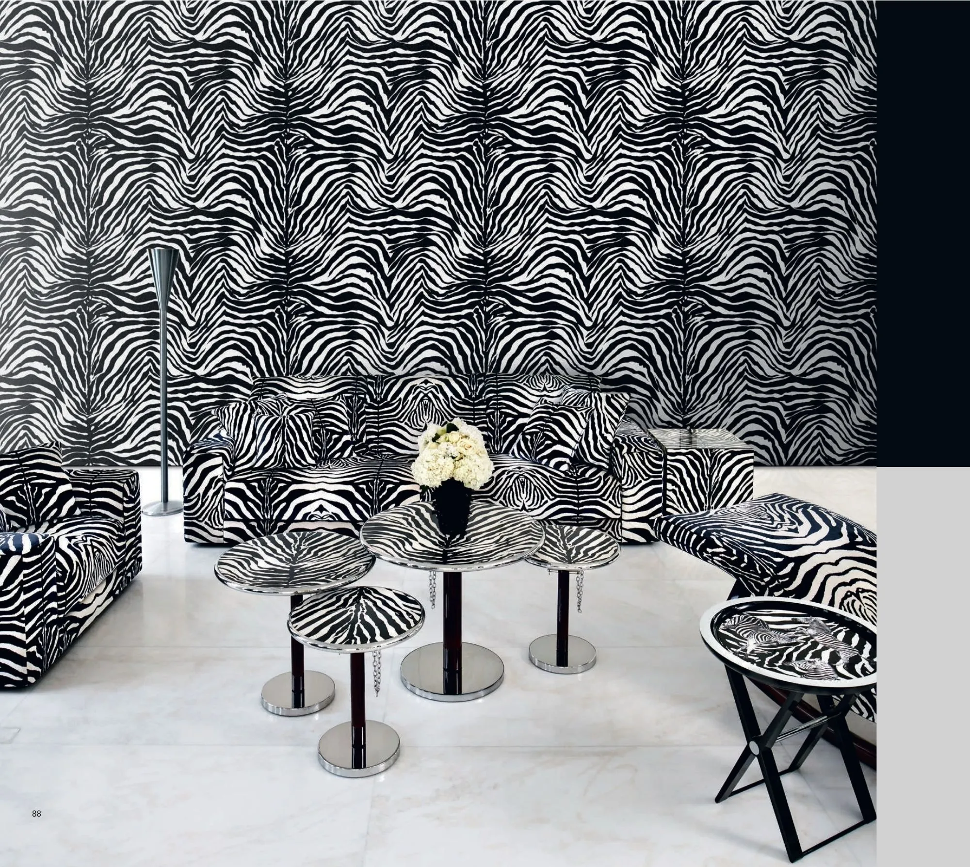 Dolce & Gabbana Wallpaper    TCW004 TCAI5 UZ003