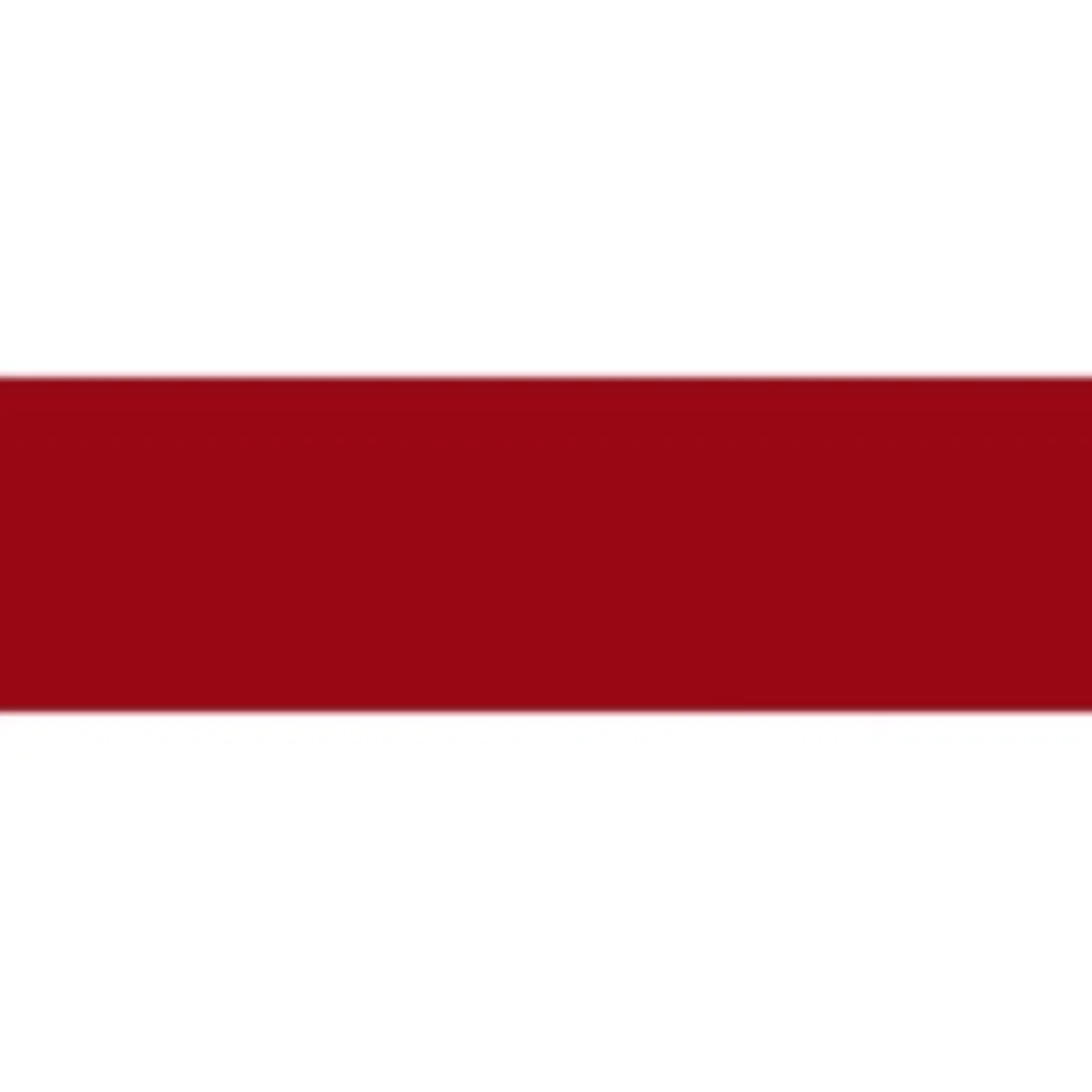 Red C-605 PVC Awning - Stylish and Durable Outdoor Shade Solution