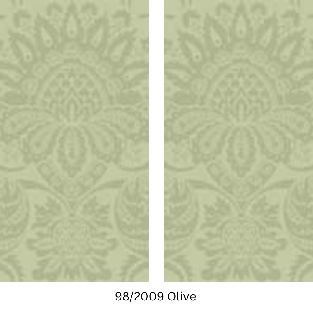 Product  98/2009 Olive