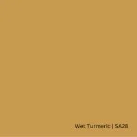 Product  Olives & Ochres |  Wet Turmeric | SA28