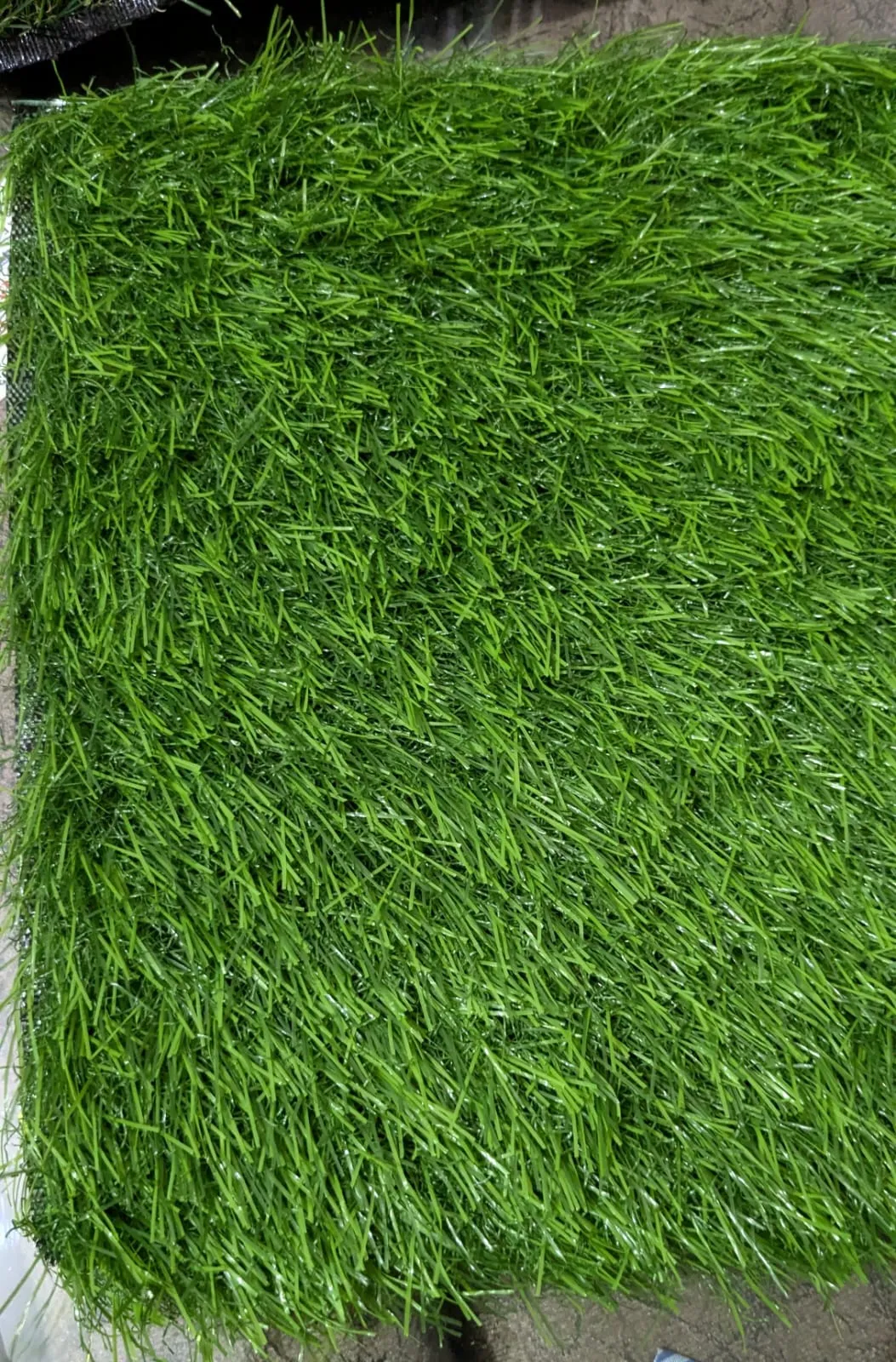 25mm Metropolitan Artificial Grass – Lush & Durable