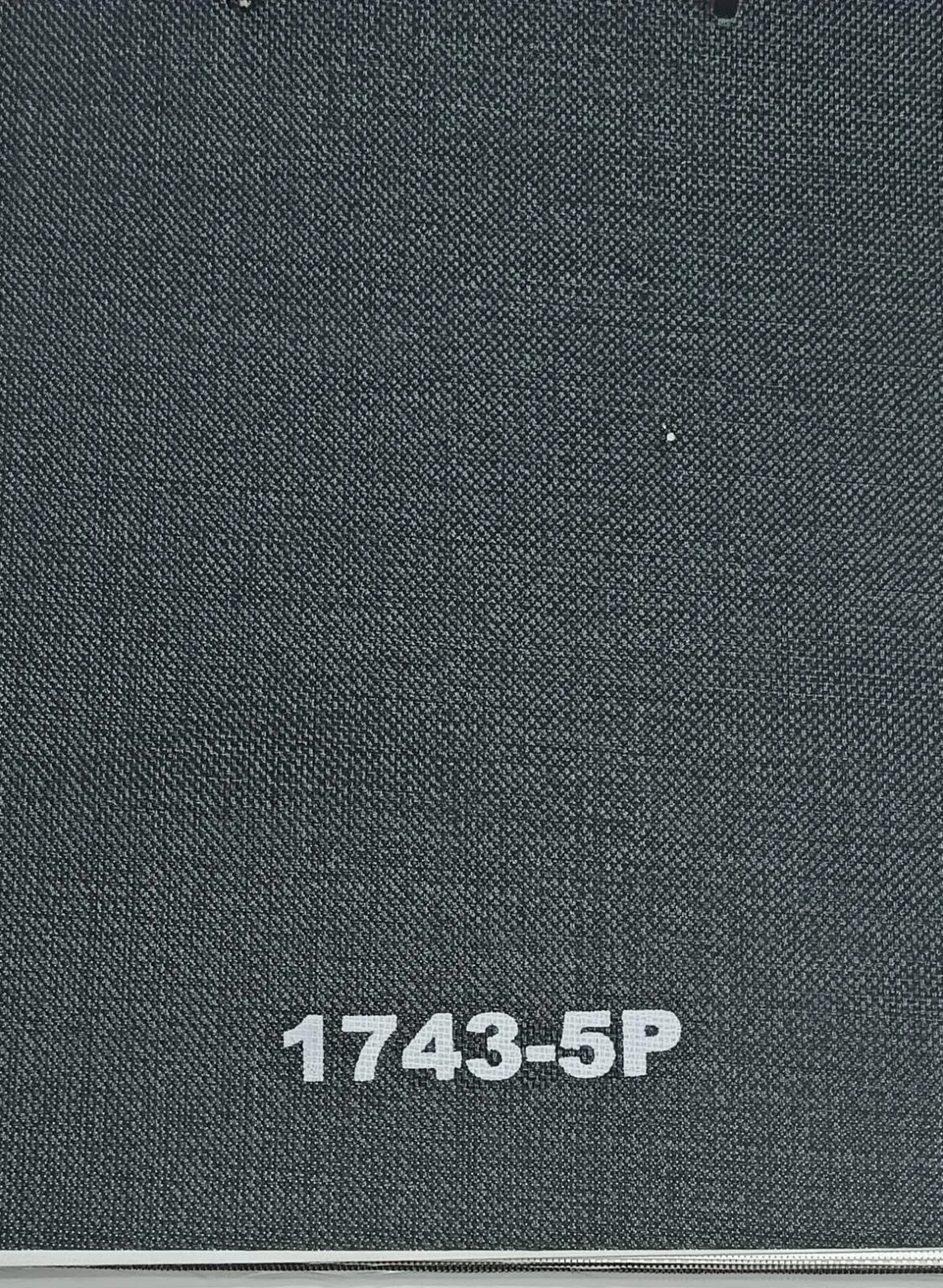 Exotic 1743-5P Outdoor Roller Blind - Stylish Sunshade Elegance