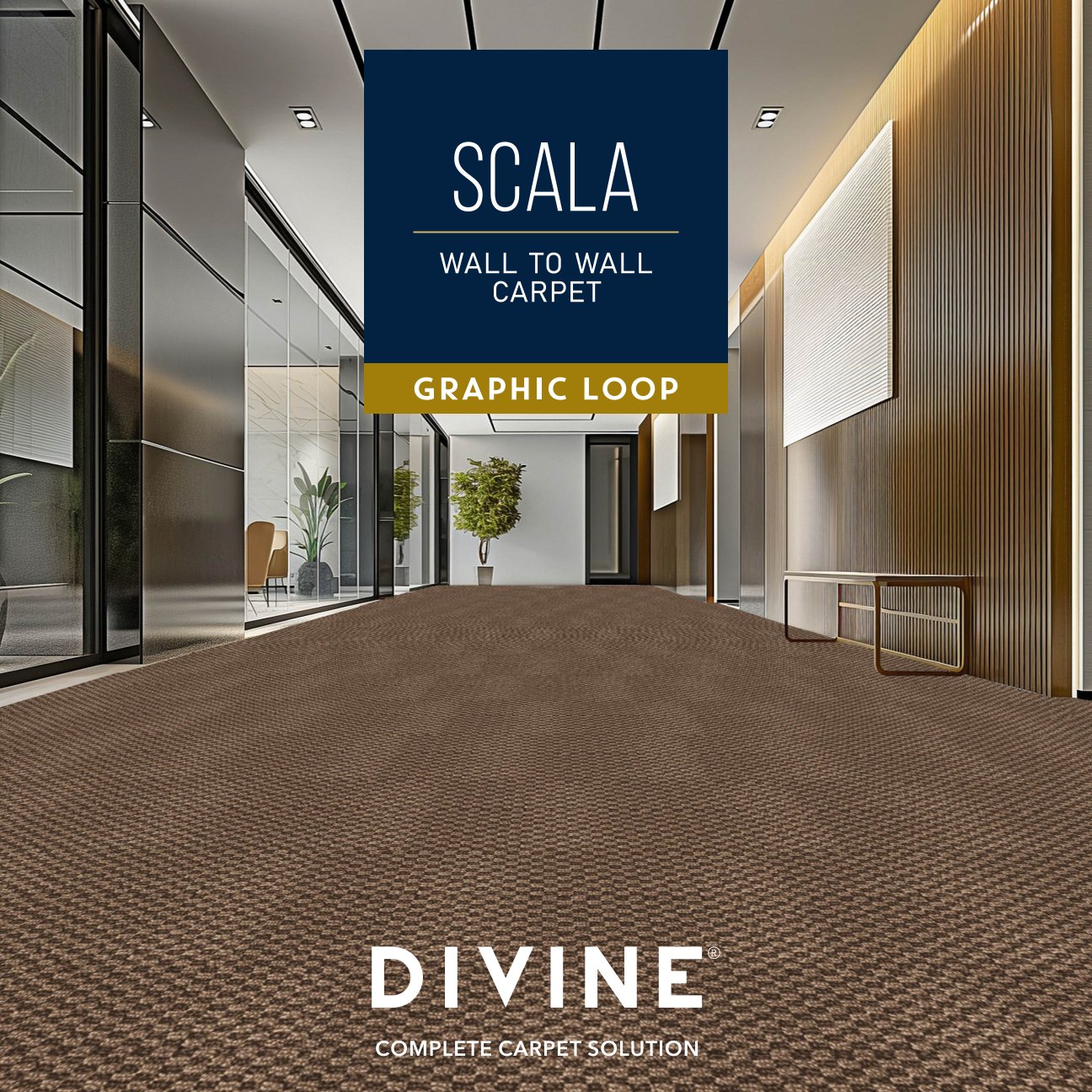 Divine Scala Carpet Roll – Premium Quality & Elegant Design