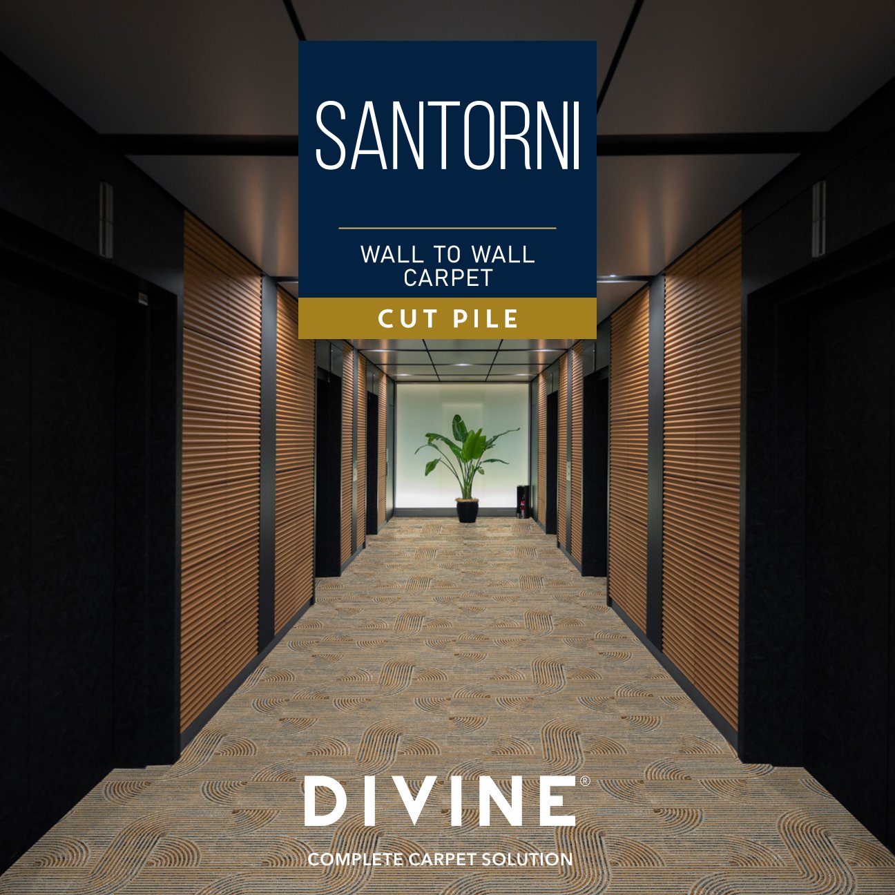 Divine Santorini Broc Carpet Roll - Premium Quality