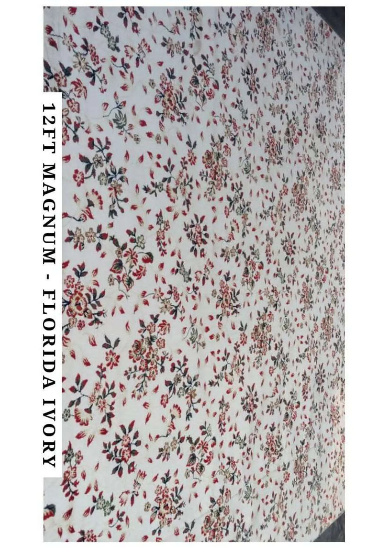 12ft Magnum Silk Carpet - Florida Ivory