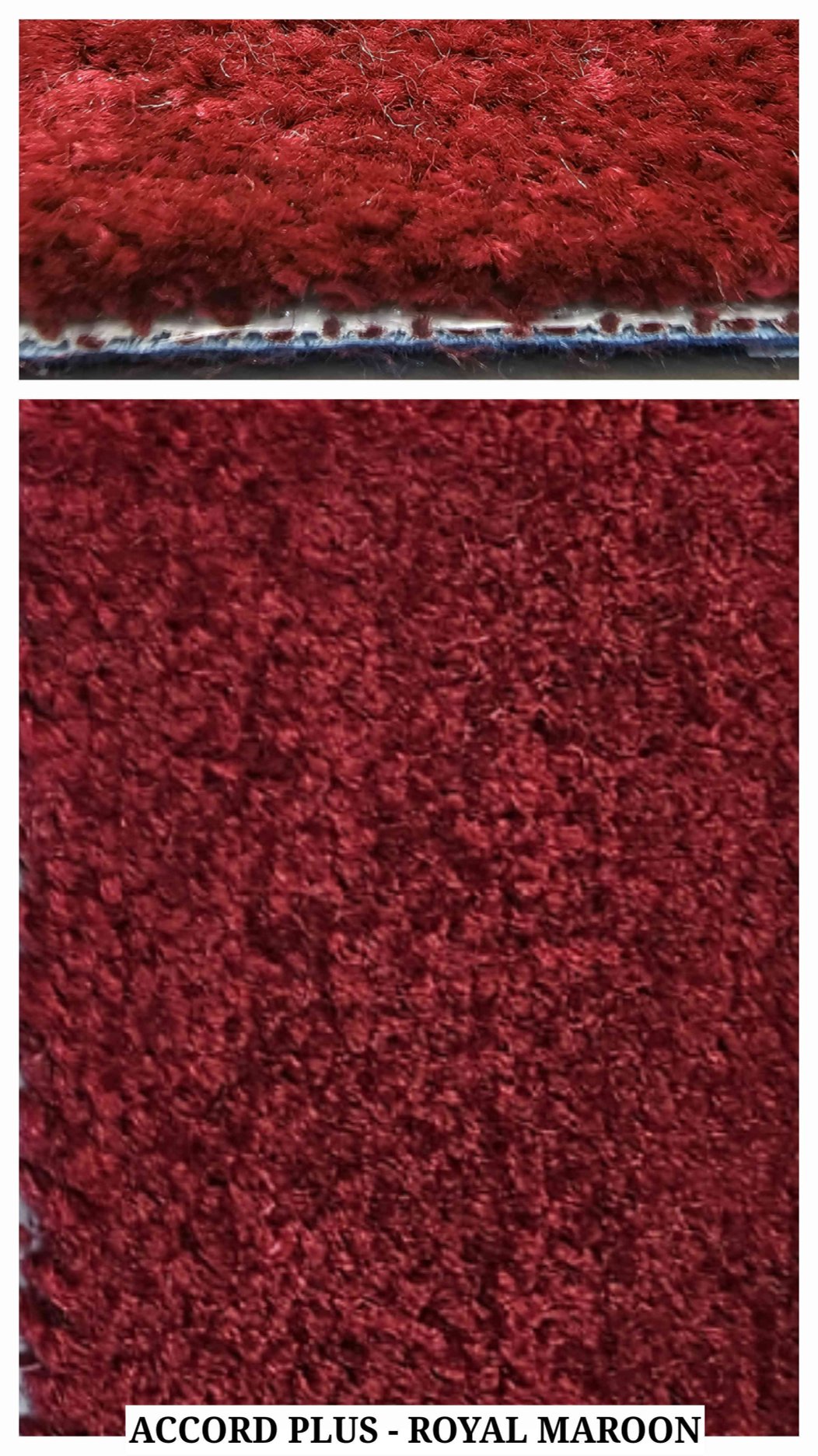 ACCORD PLUS 12ft Carpet Tile - Royal Maeloon