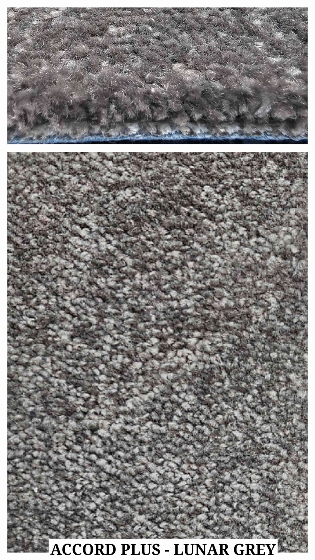 Accord Plus 12ft Carpet Tile - Lunar Grey