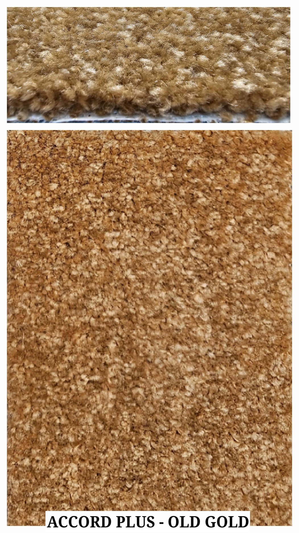 ACCORD PLUS 12ft Carpet Tile Old Gold